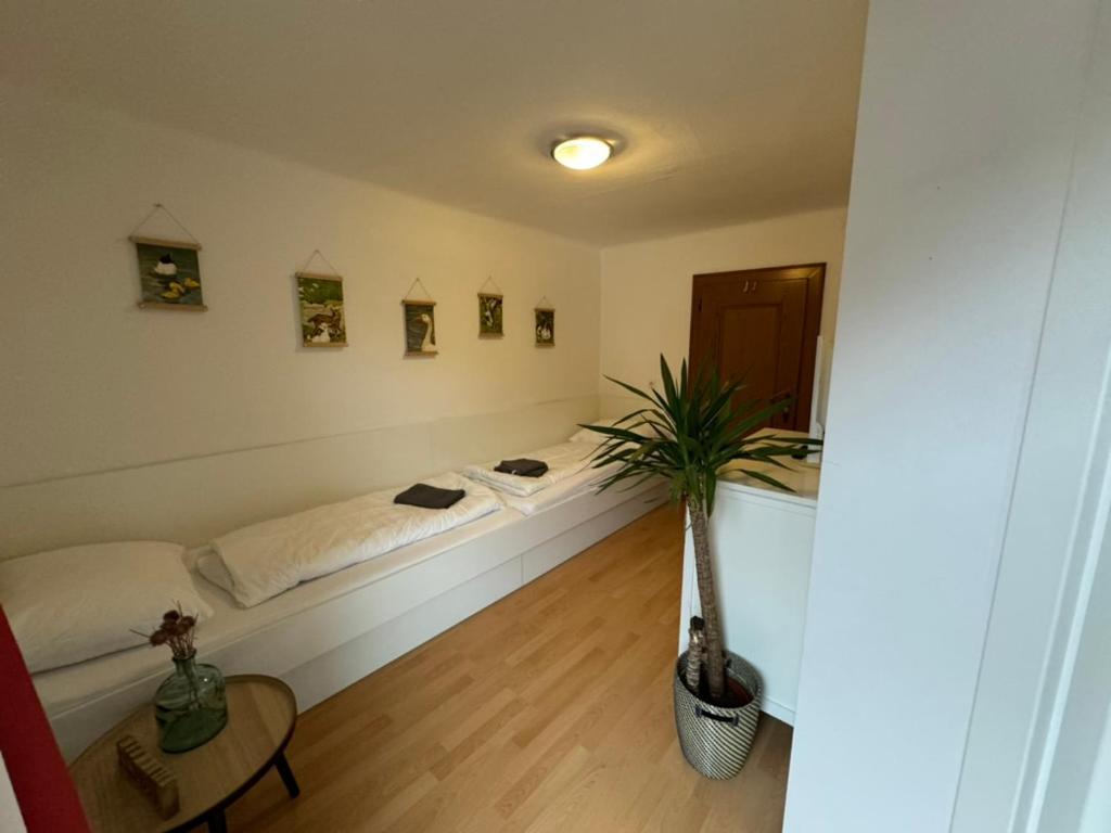 Go For Mountains Appartements 埃本因蓬高 外观 照片